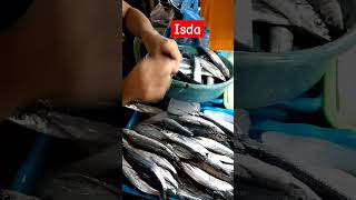 swasid nga isda talos fish tuging isda shortvideo shortsfeed shorts [upl. by Caves]