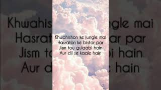 Parizaad OST Lyrics Hum TV DramaStayTUNED [upl. by Fiester636]