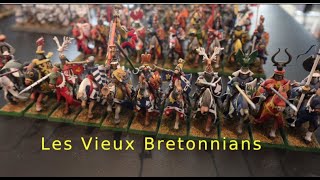 Old Bretonnian army review Do they need revamped for Warhammer the Old World [upl. by Lin6]