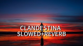 CLANDESTINA  SLOWEDREVERB [upl. by Yunick250]