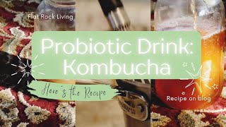 Traditional Fermented Probiotic Drink KOMBUCHA RECIPE [upl. by Marylynne73]