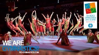 World Gymnaestrada 2015 – You did it  – We are Gymnastics [upl. by Tomaso]