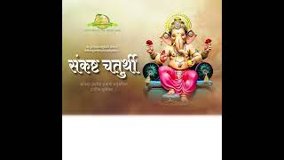 Sankasht Chaturthi  sankashti Sankashtichaturthi Chaturthi  Ganpati bap [upl. by Kall]