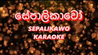 Sepalikawo Karaoke With Lyrics By Roneth Minthaka RnM  Cover Song Karaoke [upl. by Celeste]