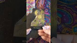 Tarot ReviewReveal The Minds Eye Tarot Deck and Book Set [upl. by Magdaia511]