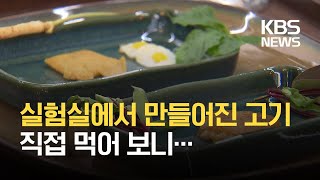 세포로 키워 만든 ‘배양육’ 먹어 보니…  KBS [upl. by Accebber]