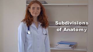 Subdisciplines of Anatomy [upl. by Rudich48]