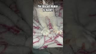 Your Biscuit Maker Is Back [upl. by Nomal610]