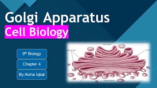 Golgi Apparatus Class 9 [upl. by Adnalram388]