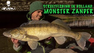 MONSTER ZANDER in streetfishing  Adventures in Netherland [upl. by Cumine98]