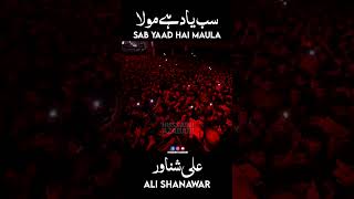 sab yaad hai maula  ali shanawar noha 2023  nadeem sarwar  ali jee  ali shanawar live 2023 [upl. by Ellatsirhc]