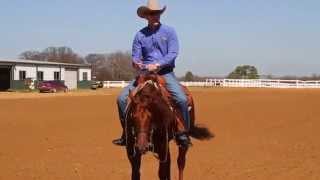 Reining Training  Misconception of a Low Head in Reining [upl. by Ruhtra]