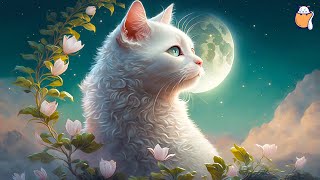 24 HOURS Soothing Music for Cats  Music to Help Your Cat Sleep  Sleepy Cat [upl. by Leavelle396]