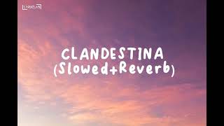 Clandestina SlowedReverbclandestina slowedandreverb perfectlyslowed [upl. by Jeane305]