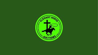 Elkhart Horse Auctions is live Horse sale 11162024 [upl. by Layor]