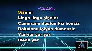 HA BABAM HAampLİNGO LİNGO ŞİŞELER KARAOKE [upl. by Solberg342]