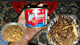 Canned Sardines Curry Recipe  Tinned Fish Curry  Naga Style [upl. by Narahs]