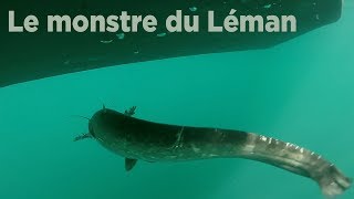 Le monstre du Léman [upl. by Fabiano]