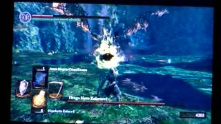 Dark Souls DLC Come tagliare la coda al drago nero Kalameet [upl. by Bang]