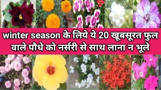 winter के लिये 20खूबसूरत फुल वाले पौधे को नर्सरी से लाकर गमले मे लगयेwinter flower plant grow in pot [upl. by Leuneb]