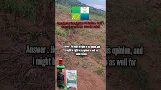 Coffee vs Eucalyptus Plantations A Profitability Comparison in Uganda by Mr Mutebi John [upl. by Line878]