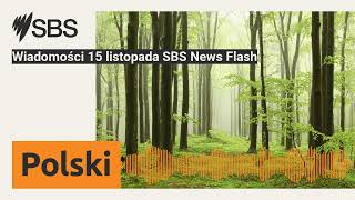 Wiadomości 15 listopada SBS News Flash  SBS Polish  SBS po polsku [upl. by Annoyk]