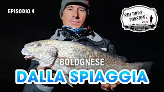 Pesca a BOLOGNESE OMBRINE dalla SPIAGGIA » SEA BOLO Passion S4E4 trabuccofishing​ [upl. by Eillah]