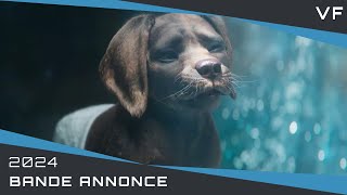 Chien et Chat Bande Annonce VF 2024 [upl. by Atyekram547]