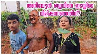 ഇവിടെ എല്ലാവർക്കും സുഖം❤️ Family vlog Agriculture tips Healthy juice Koorkka Krishi Funny [upl. by Inilahs]