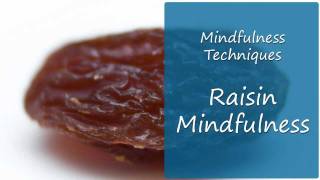 What A Raisin Can Teach You About Mindfulness Practice [upl. by Adniles]