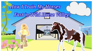 How I Train My Horses Fast In Wild Horse Valley Part 1 [upl. by Vonnie]