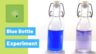 Making The Blue Bottle Experiment [upl. by Olnee423]