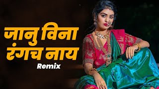 Janu Vina Rangach Nahi DJ Song  Marathi Remix Song  DJ Song [upl. by Dirk]