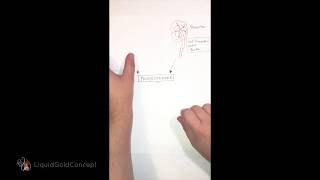 Part 2 What is the role of progesterone in Lactogenesis II [upl. by Ettenahs]