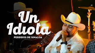 Perdidos de Sinaloa  Un Idiota En Vivo [upl. by Anegal]