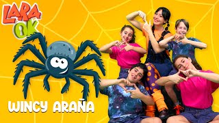 Incy Wincy Araña Itsy Bitsy 🕷 ♫ Canciones para niños en Español ♫ Lara OK [upl. by Pavyer569]