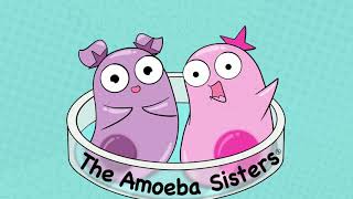 Amoeba Sisters Music [upl. by Elleniad]