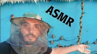 ASMR Honey Bee Farm Tour 🐝 [upl. by Soneson]