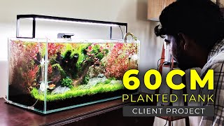 60CM Planted Aquarium  Planted Tank Setup in Tamil  Client Project  Amudh Aquascapes [upl. by Atekehs]