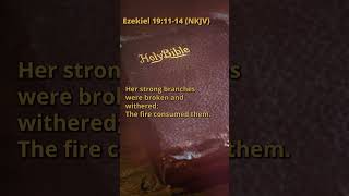 Ezekiel 191114 NKJV [upl. by Menendez]