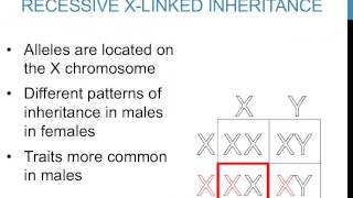 Patterns of inheritance [upl. by Laurie]