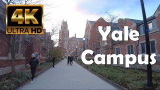 Yale University  4K Campus Walking Tour [upl. by Holbrooke461]