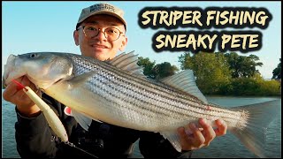 Striper Fishing Sacramento River glidebait [upl. by Adriane621]