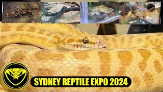 Sydney Reptile Expo 2024 [upl. by Ahsemac310]