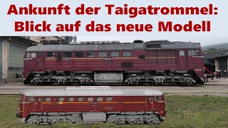 Taigatrommel trifft auf Modellbahn [upl. by Kcirdahc]