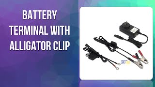 Best Value Battery Terminal with Alligator Clip To Obtain Online 2020 [upl. by Ajroj508]