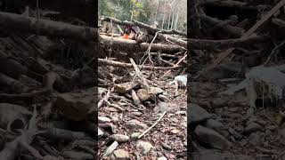 Clearing a stump in a debris pile on Newberry Creek chiefsholsters helene wnc wncstrong [upl. by Ojillib]