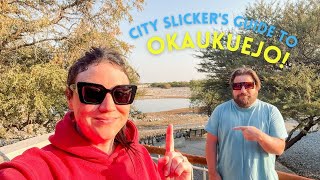 Guide to Okaukuejo Camp in Etosha National Park in Namibia [upl. by Weitzman]