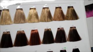 Learn hair tones and neutralising colours with the colour star theory [upl. by Bearce671]