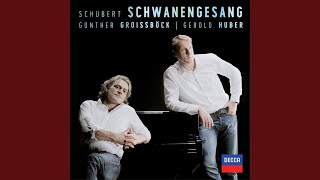 Schubert Schwanengesang D 957  11 Die Stadt [upl. by Nessy]